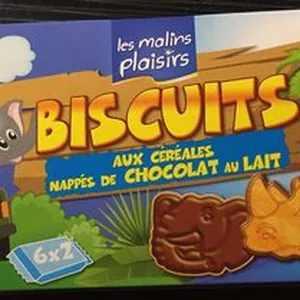 Biscuit aux céréales nappés de chocolat au lait