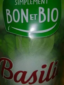Basilic