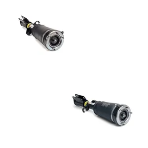 Luftfjäderben Arnott ANT4118N0007