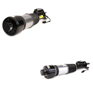 Luftfjäderben Arnott ANT4118N0010