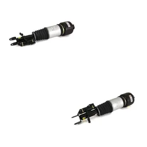 Luftfjäderben Arnott ANT4118N0011