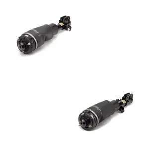 Luftfjäderben Arnott ANT4118N0012