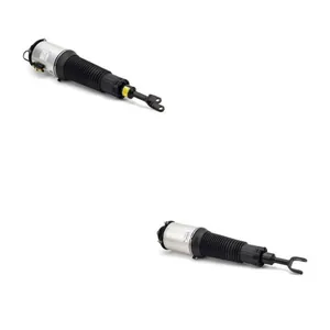 Luftfjäderben Arnott ANT4118N0013