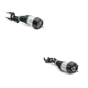 Luftfjäderben Arnott ANT4118N0017