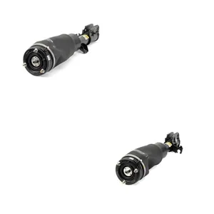 Luftfjäderben Arnott ANT4118N0021