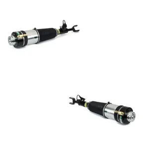 Luftfjäderben Arnott ANT4118N0030