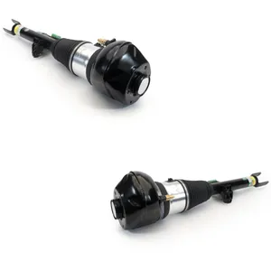 Luftfjäderben Arnott ANT4118N0043