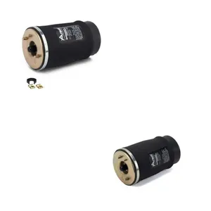 Luftbälg Arnott ANT4119N0002