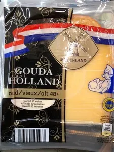 Gouda Holland