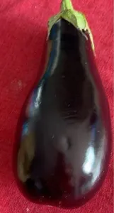 Aubergine