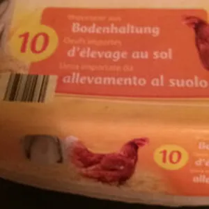 Oeufs importés d'élevage au sol