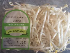 Pousses haricots mungo