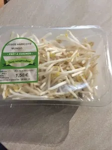 Pousses Haricot mungo