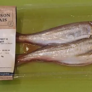 Merlan prêt à cuisiner