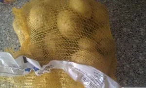 Pomme De Terre Maison Lecouffe