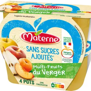 MATERNE (Sans sucres ajoutés) Multi Fruits du Verger
