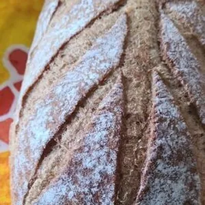 Pain.completvtrad 3m