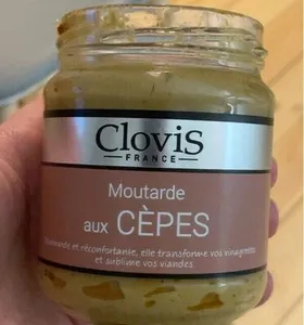 Moutarde aux cèpes
