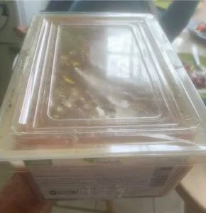 Les salades traiteur