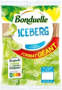 Iceberg