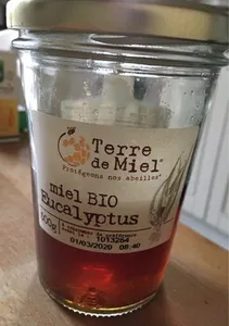 Miel Eucalyptus