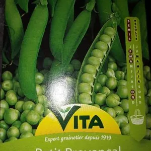 Pois nain à grain rond