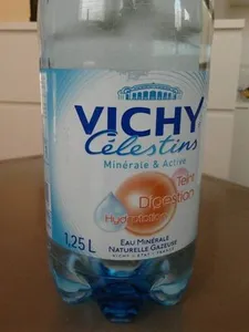 VICHY Célestins