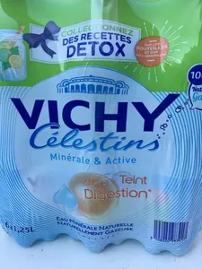 Vichy Celestins