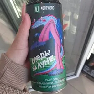 Следы на луне