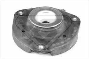 Fjäderbenslagring HUTCHINSON 590008