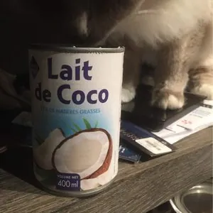 Lait de coco