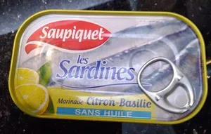 Sardines