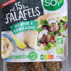 Falafel Menthe et Coriandre