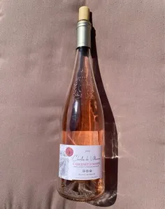 Charles de villeneuve