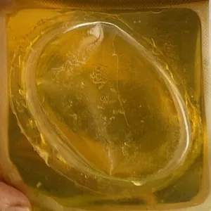 Œuf poché en gelée