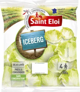 Iceberg