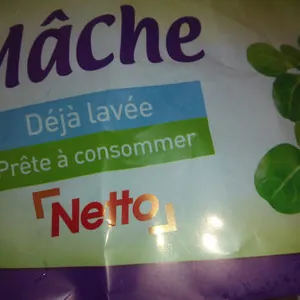 Mâche