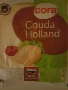 Gouda Holland