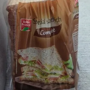 Paint Spécial Sandwich Complet