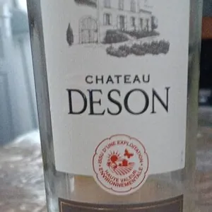 Château deson