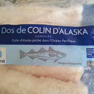 Dos de colin d'Alaska
