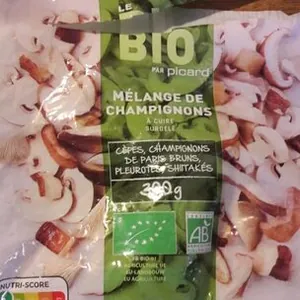 Mélange de champignons à cuire surgelés