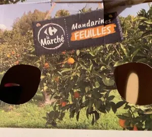 Mandarines feuilles le Marché