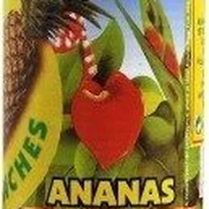 Ananas Conserve Mont Pelé