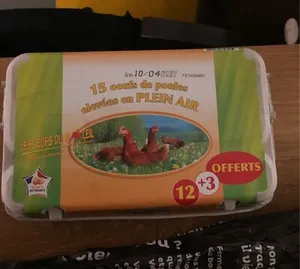 LES OEUFS DU SOLEIL ( 15 oeufs plein air )