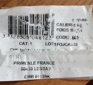 Oignon blanc lessay manche