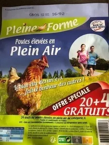 Poules élevées en plein air