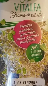 ALFA FENOUIL