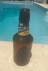 Biere Fisher GOLD