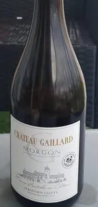 Château Gaillard